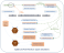Petroleum Liquids Calculation Flow Diagram